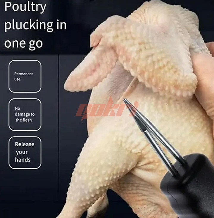 Electric Handheld Chicken or Duck Feather Plucker