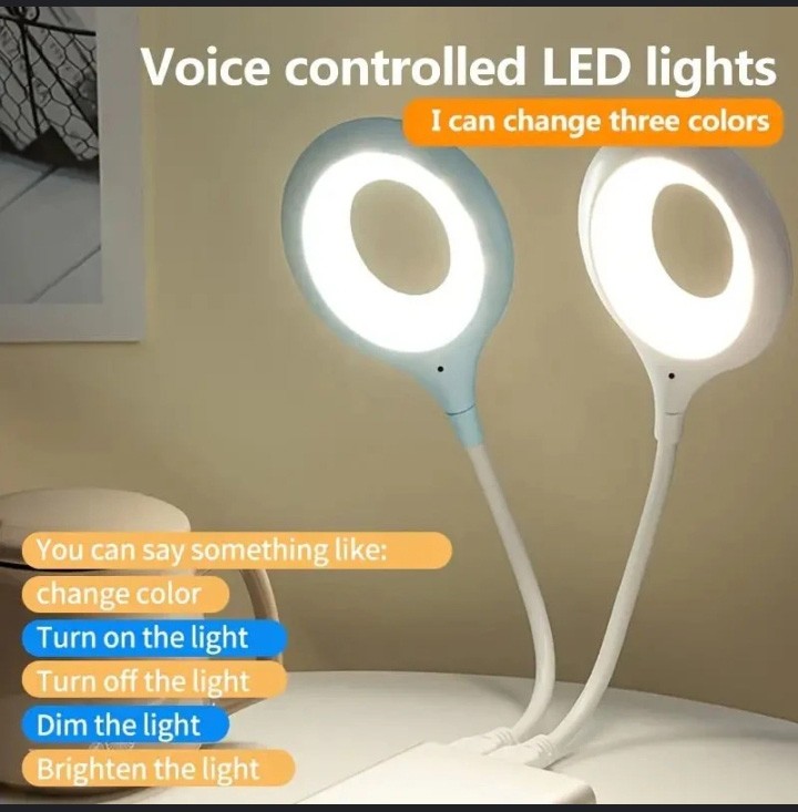 USB Voice Control Light